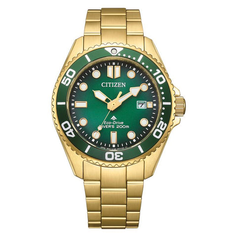 The Watch Boutique Citizen Promaster Eco-Drive Gold-Tone Diver Watch