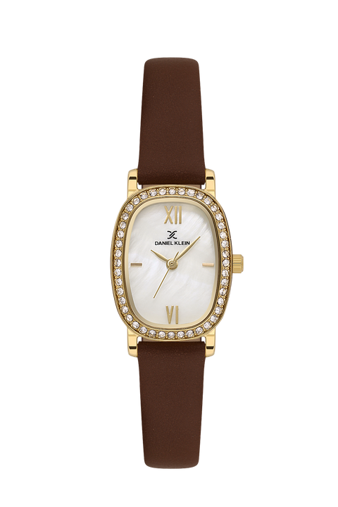 Daniel Klein Premium Gold Tone Brown Leather Watch