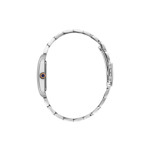 The Watch Boutique Daniel Klein Premium Silver Dial Analogue Watch