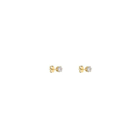 The Watch Boutique Daniel Klein Women's Stud Earrings Gold Medium