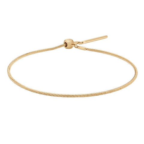 Elegant Daniel Wellington gold-plated stainless steel snake bracelet, 185mm length with an adjustable sliding clasp.