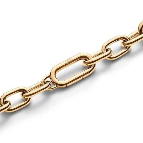 Daniel Wellington gold-plated stainless steel link bracelet featuring a polished chain design with a secure spring gate clasp.