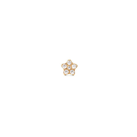 Daniel Wellington gold star stud earring featuring sparkling crystals in a delicate 4.5mm stainless steel claw setting.