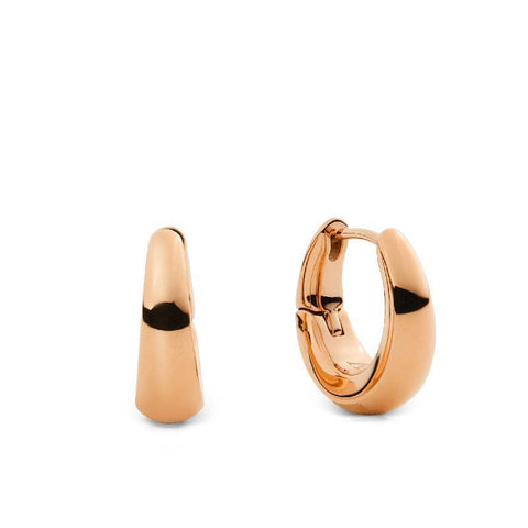 The Watch Boutique Daniel Wellington Flow 15mm Women's Earrings Rose Gold