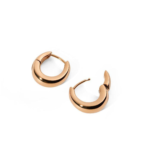 The Watch Boutique Daniel Wellington Flow 15mm Women's Earrings