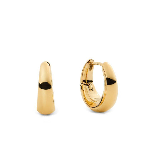 The Watch Boutique Daniel Wellington Flow 15mm Women's Earrings Gold