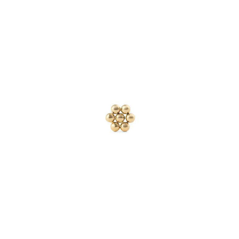The Watch Boutique Daniel Wellington Flower Stud Gold Women's Earrings