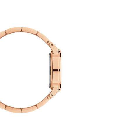The Watch Boutique Daniel Wellington Iconic Link Unitone Watch 28mm
