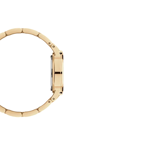 The Watch Boutique Daniel Wellington Iconic Link Unitone Watch 28mm