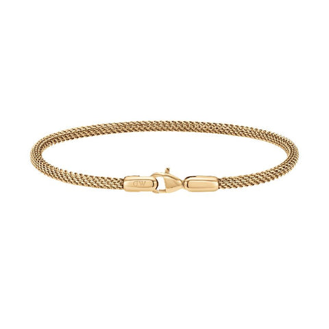 Daniel Wellington Evergold 2.8mm gold mesh bracelet in PVD-plated stainless steel with a secure lobster clasp.