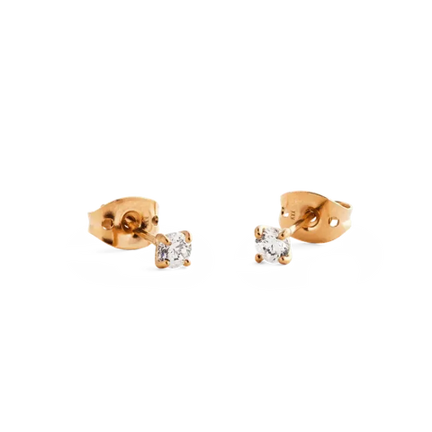 Daniel Wellington Mirelle Solitaire Stud Earring Rose Gold