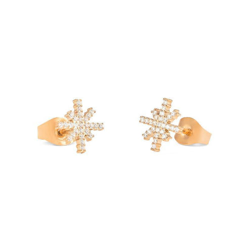 Daniel Wellington Mirelle Star Rose Gold Earrings