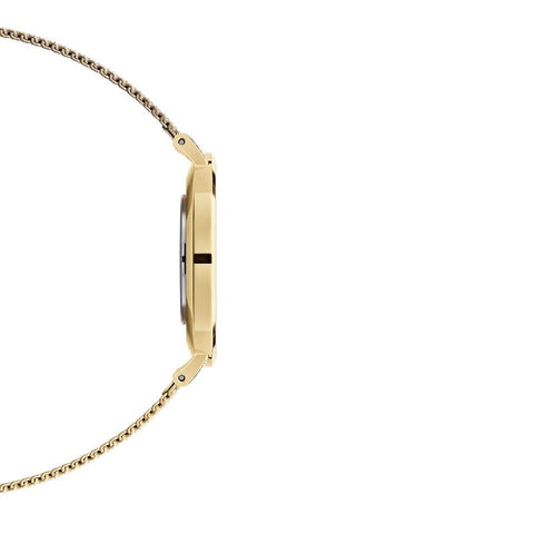 The Watch Boutique Daniel Wellington Petite Evergold Gold Watch 36mm