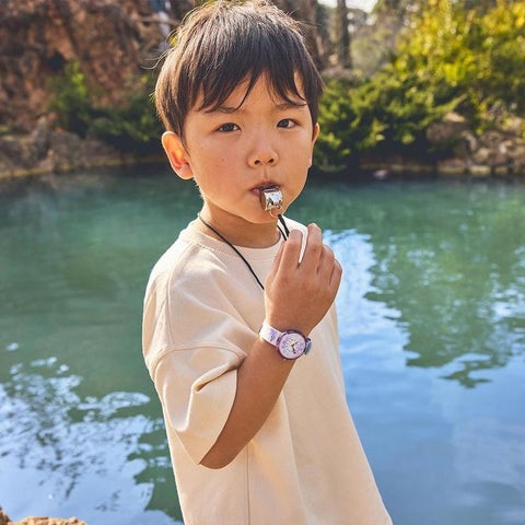 The Watch Boutique Flik Flak HAPPY DOLPHINS Watch FBNP255