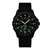 The Watch Boutique Luminox F-117 Nighthawk x Skunk Works Heritage Pilot Watch - XA.6442.H.SET