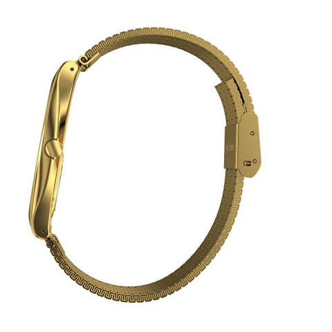 The Watch Boutique Swatch SKIN GLAM Watch SYXG106GG